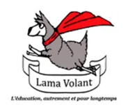 logo Lama Zimba Zimbabwé